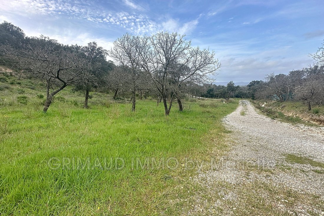 Land in Grimaud, Provence-Alpes-Côte d'Azur, France 1 - 15373244