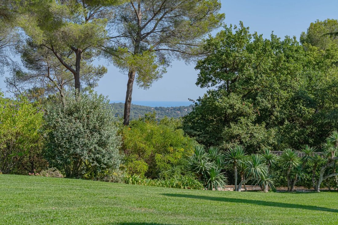 Estate in Nord, Roquefort-les-Pins, France 5 - 12369605
