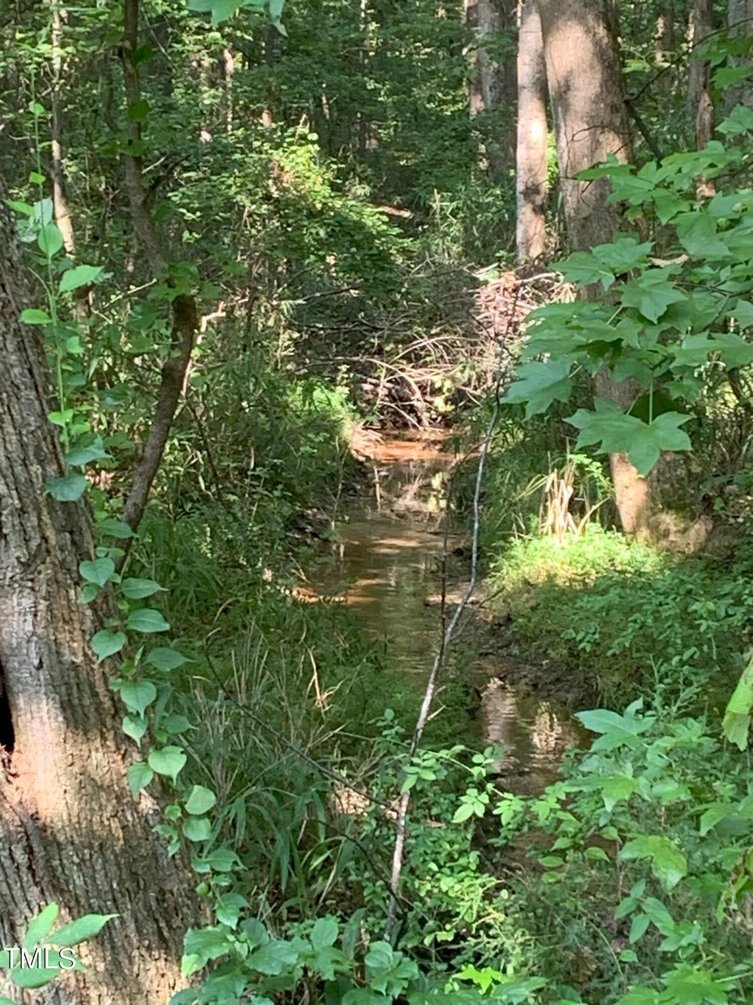 Fuquay-Varina, North Carolina, United States 5 - 15380667