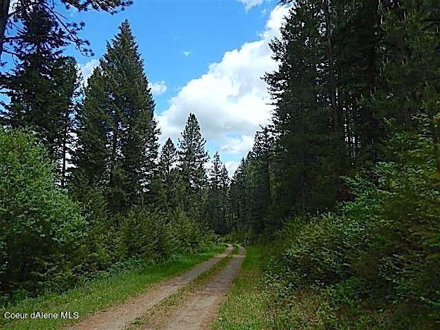 Land in Athol, Idaho, United States 4 - 15380989
