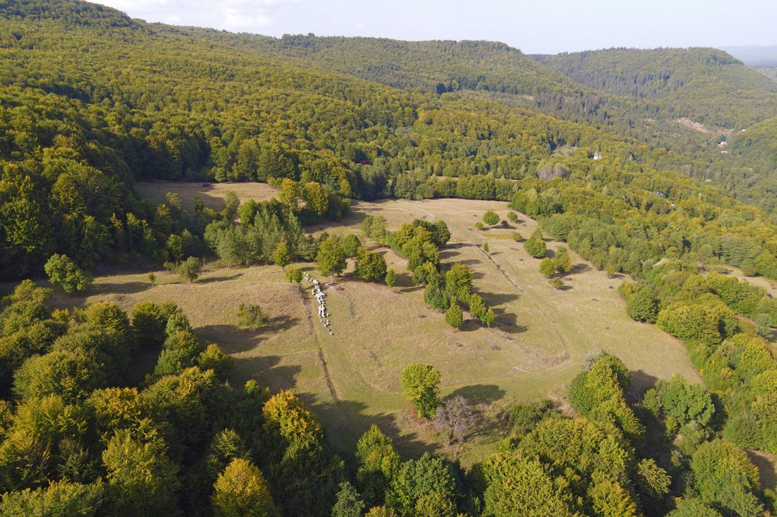 Land in Satu Mare, Harghita County, Romania 3 - 13602098