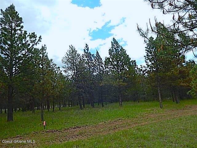 Land in Athol, Idaho, United States 5 - 15380989