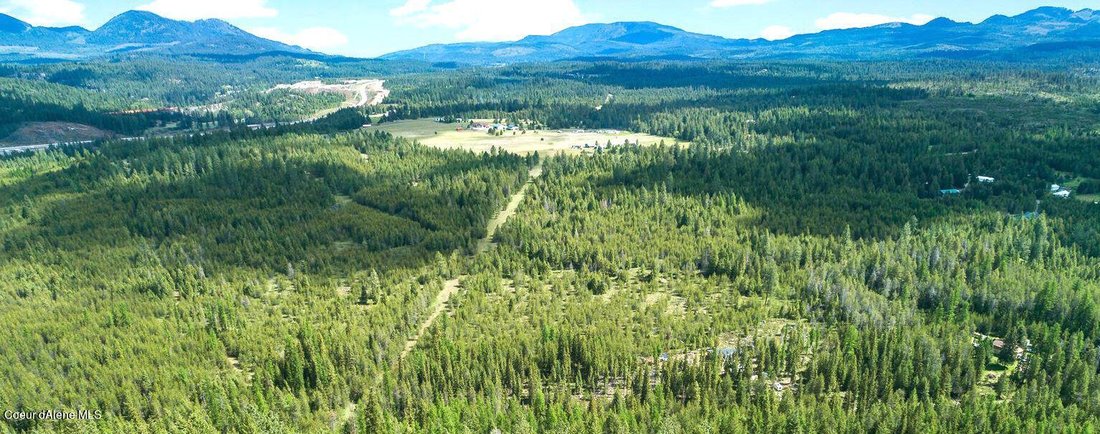 Land in Athol, Idaho, United States 3 - 15380989