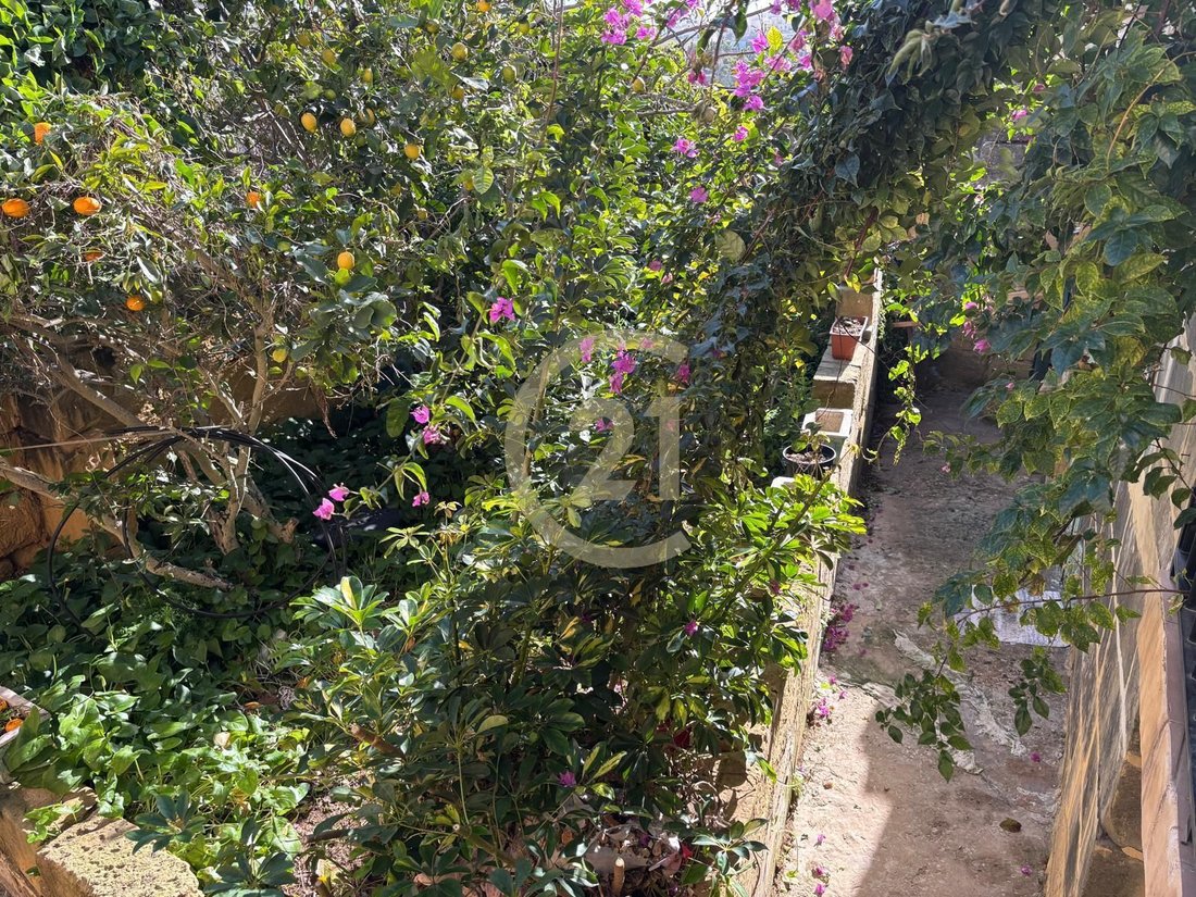 Townhouse in Santa Lucija, Malta 3 - 15145358