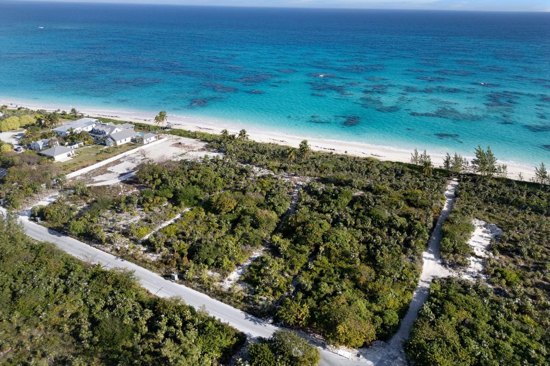 Land in North Palmetto Point, Central Eleuthera, The Bahamas 3 - 15384037