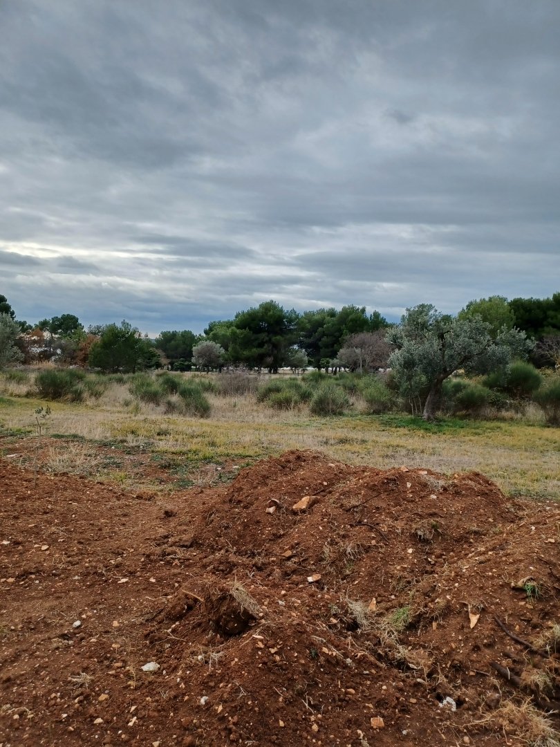 Land in Fazana, Istria County, Croatia 3 - 13769723
