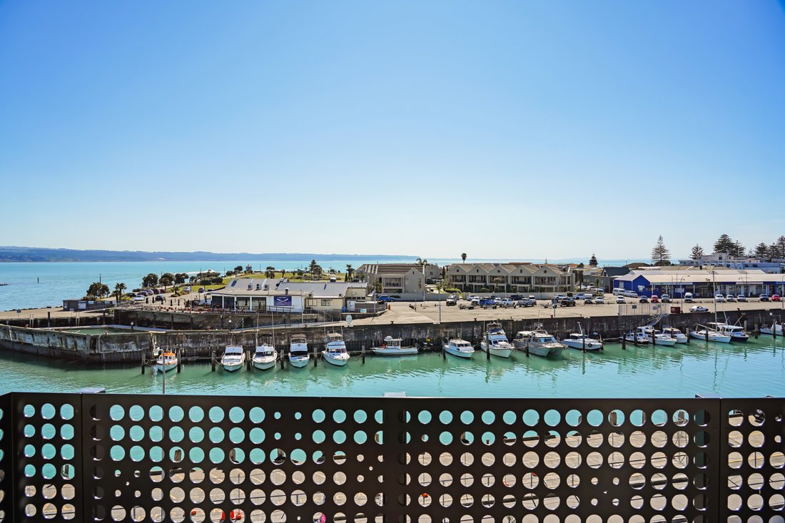Apartment in Napier, Hawke's Bay, New Zealand 5 - 14714889