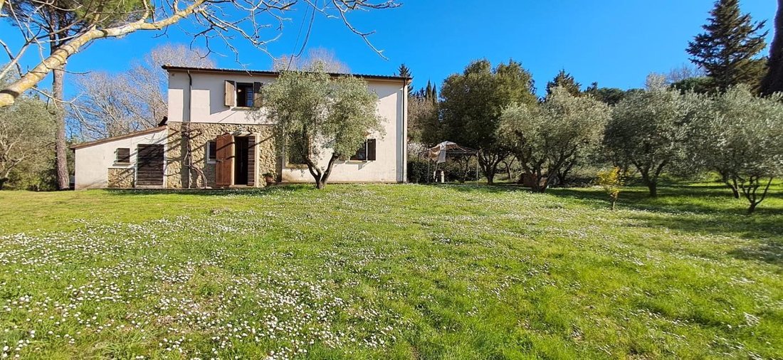 Altro a Montescudaio, Toscana, Italia 2 - 15388530