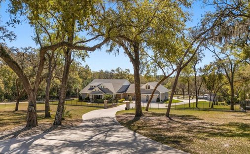 House in Mount Dora, Florida, United States 1