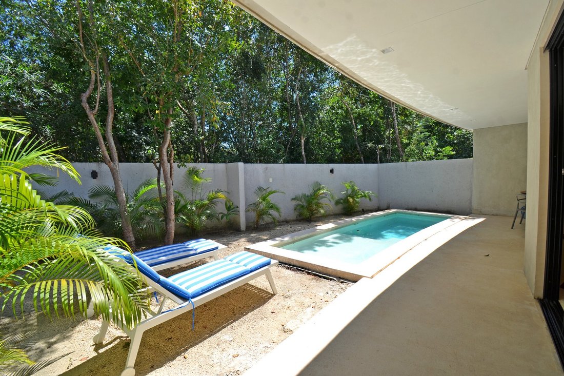 Tulum, Quintana Roo, Mexico 5 - 15388862