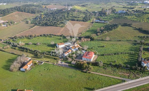 Azienda agricola a Capelins (Santo Antonio), Distretto di Évora, Portogallo 1