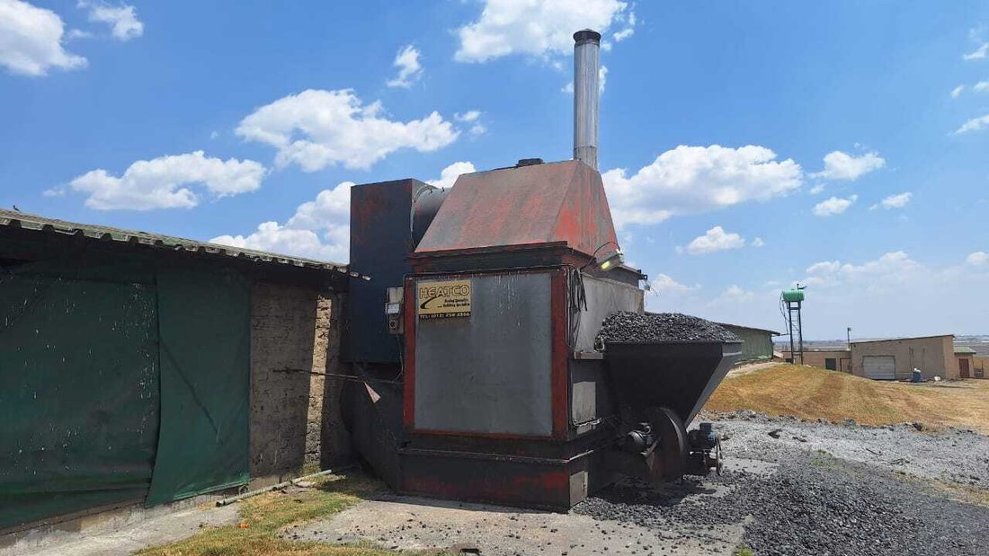 Farm Ranch in City of Ekurhuleni Metropolitan Municipality, Gauteng, South Africa 5 - 15390569