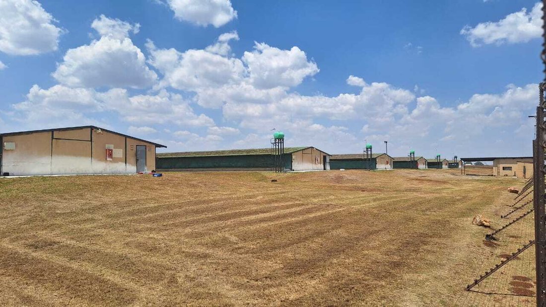Farm Ranch in City of Ekurhuleni Metropolitan Municipality, Gauteng, South Africa 2 - 15390569