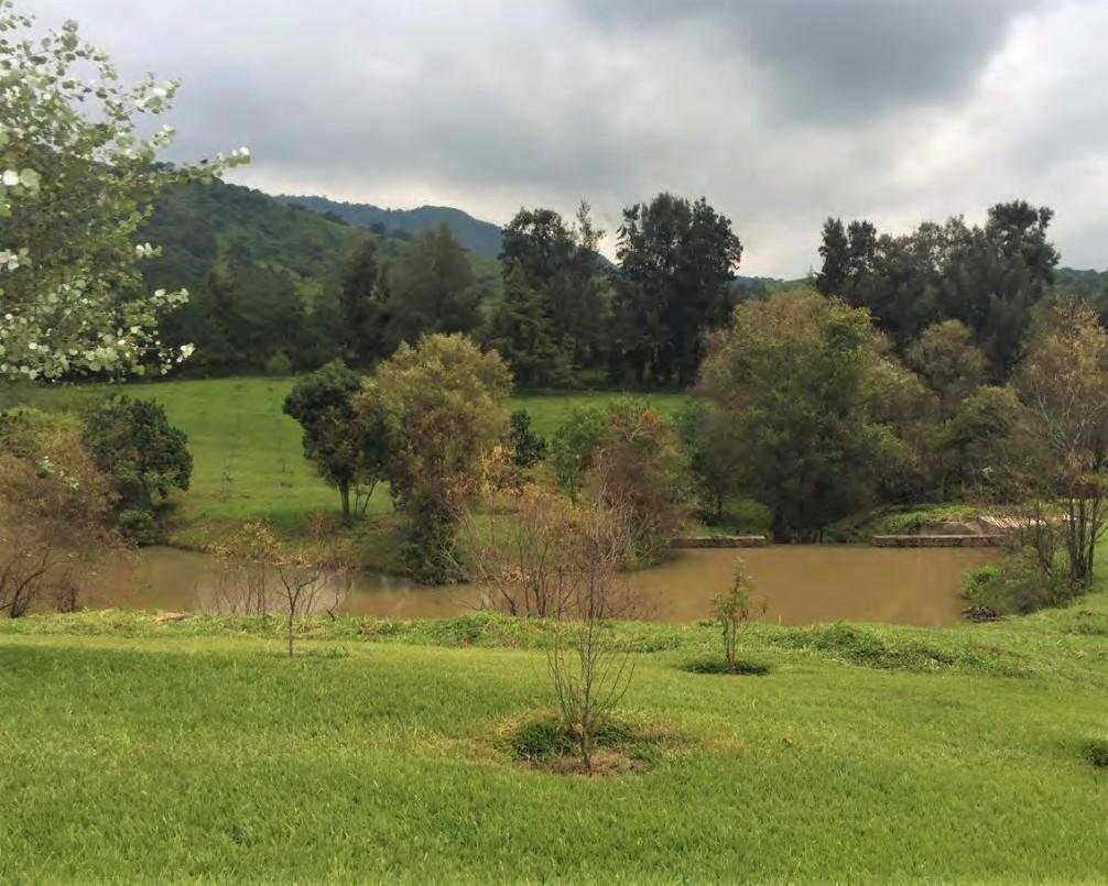 Land in Santa Teresa Tiloxtoc, State of Mexico, Mexico 4 - 15390629
