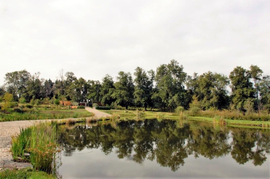 Land in Santa María Pipioltepec, State of Mexico, Mexico 1 - 15390636