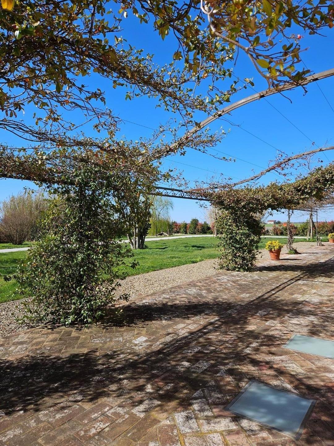 Country House in San Frediano a Settimo, Cascina, Tuscany 4 - 15391913