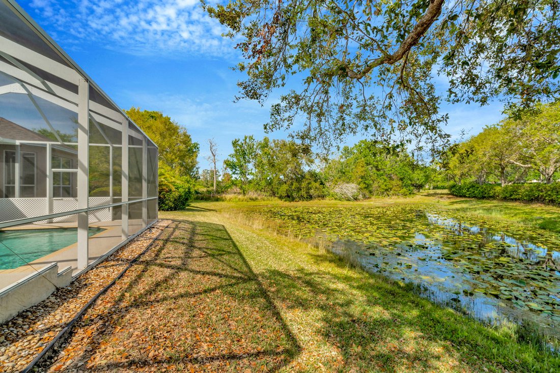 House in Land O' Lakes, Florida, United States 4 - 15394842