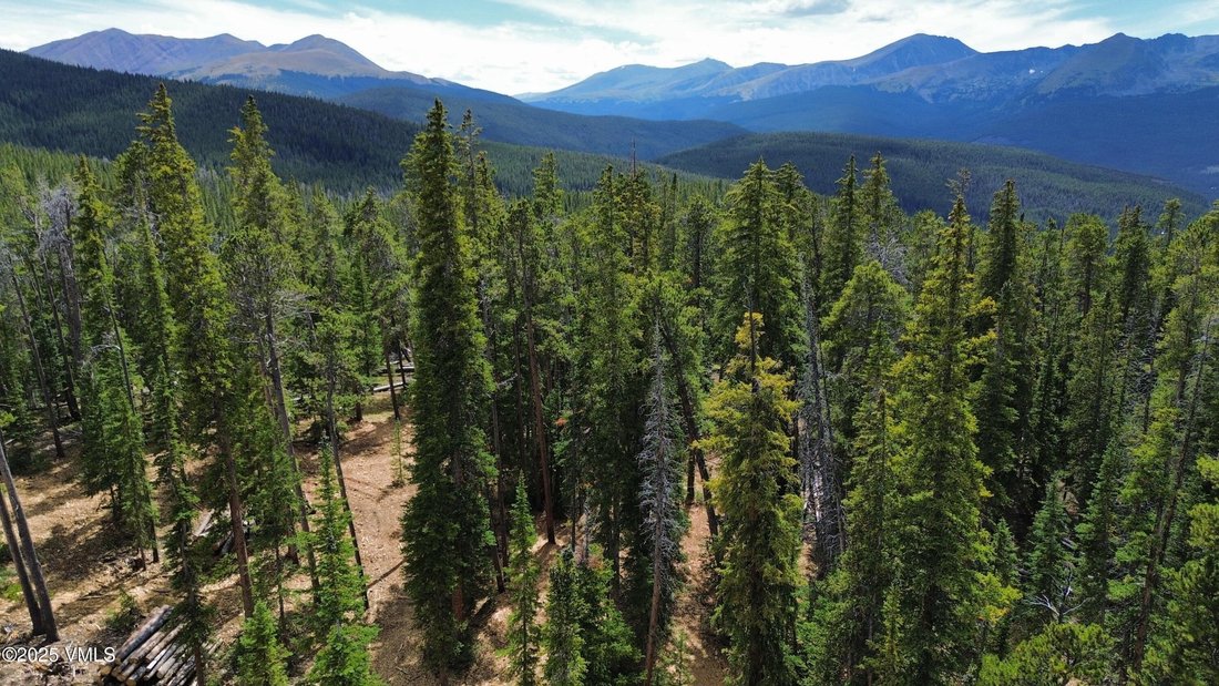 Land in Breckenridge, Colorado, United States 4 - 15396916