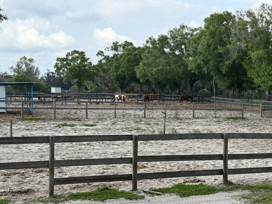 Land in Odessa, Florida, United States 3 - 15395326