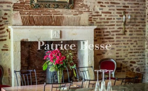 Castle for Sale in Penne-d'Agenais, Nouvelle-Aquitaine, France