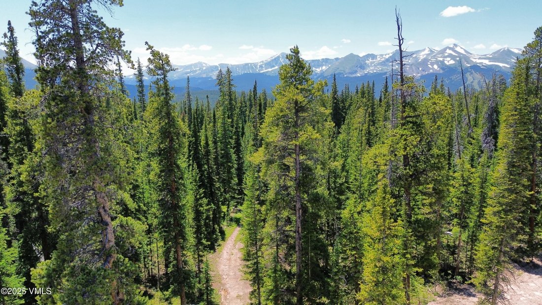 Land in Breckenridge, Colorado, United States 3 - 15396916