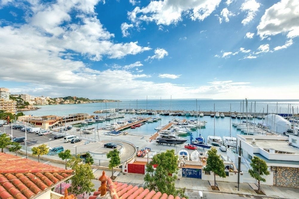 Villa in Palma, Balearic Islands, Spain 1 - 15396704