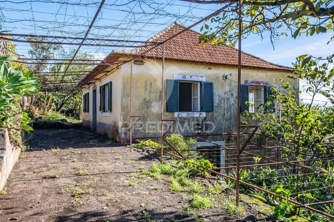 Haus in Gaula, Autonome Region Madeira, Portugal 1 - 15115072