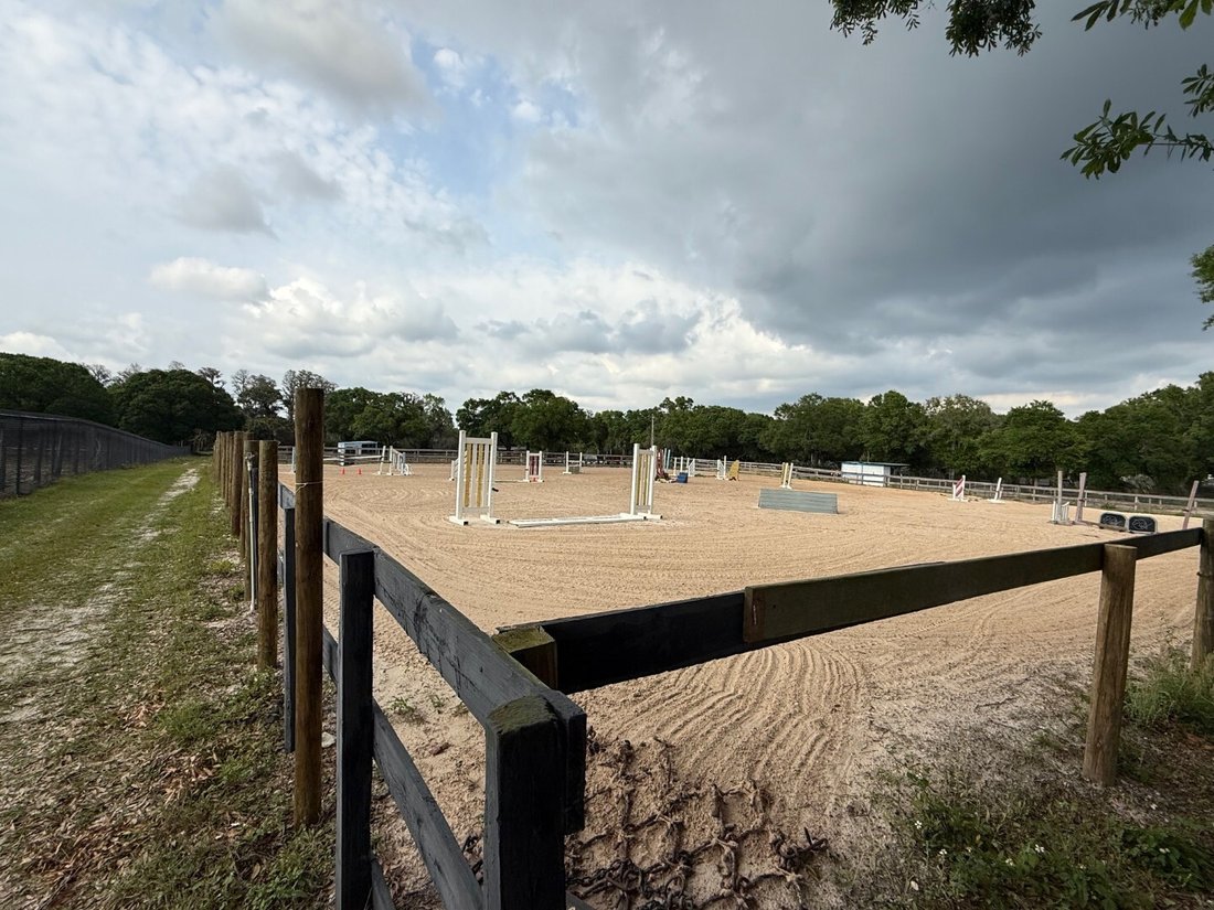 Land in Odessa, Florida, United States 5 - 15395326
