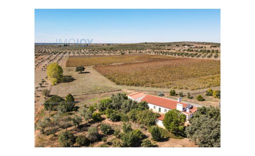 Farm Ranch in Portalegre, Portalegre, Portugal 1