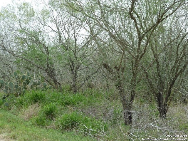 Land in Alice, Texas, United States 5 - 15396318