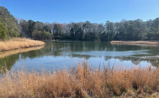 House in Tarboro, North Carolina, United States 1