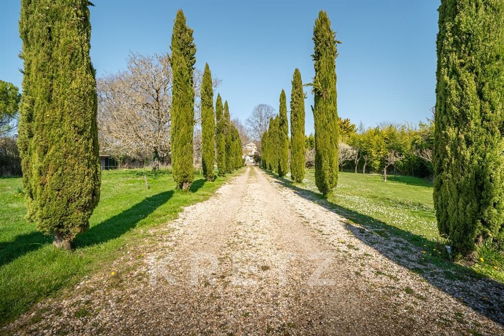 A 12th-Century Château Whispering Between Vineyards & Time