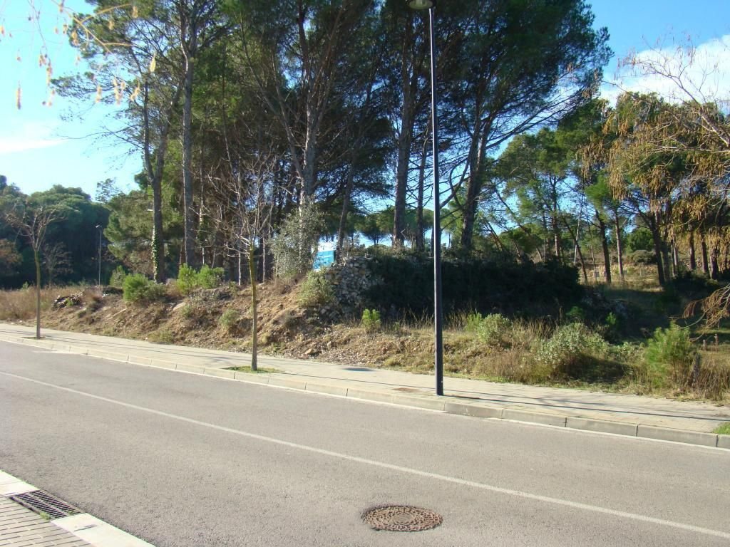 l'Escala, Catalonia, Spain 5 - 15398735