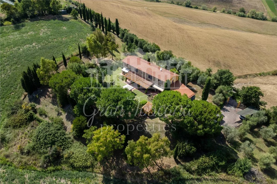 House in Fauglia, Tuscany, Italy 3 - 15398959