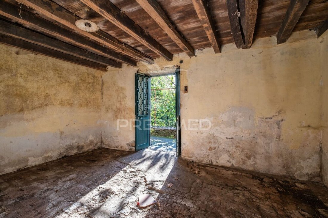 Haus in Gaula, Autonome Region Madeira, Portugal 4 - 15115072
