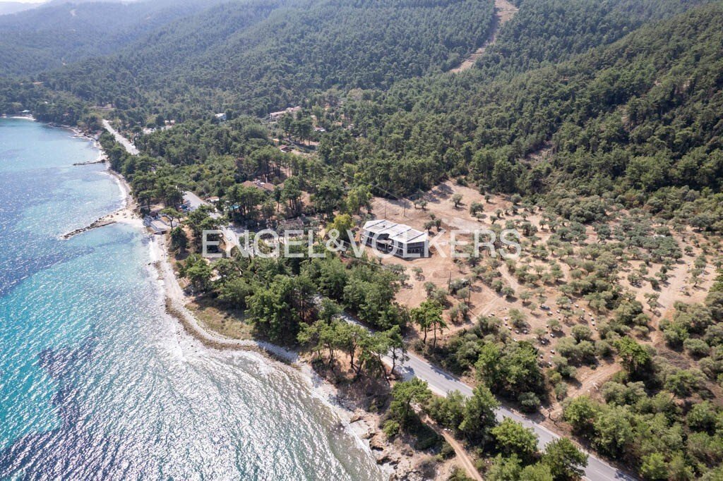 Thasos, Decentralized Administration of Macedonia and Thrace, Greece 1 - 15399314