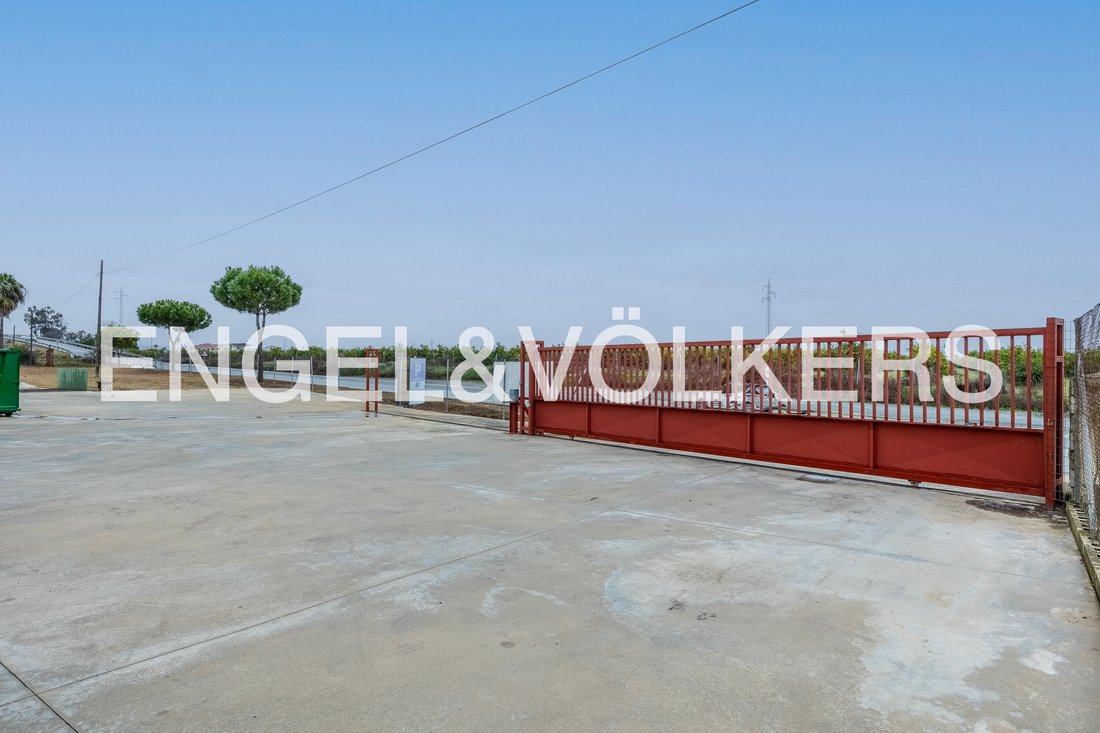 Land in Lora del Rio, Andalusia, Spain 4 - 15212947