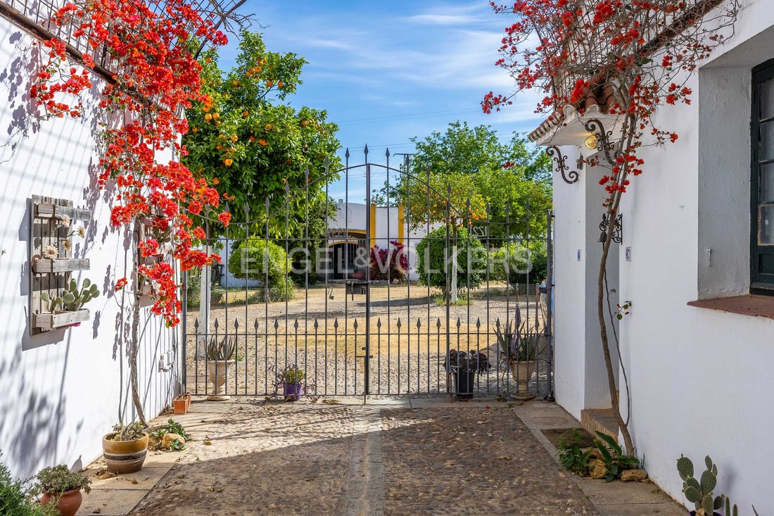 Finca in Alcala de Guadaira, Andalusia, Spain 5 - 14180600