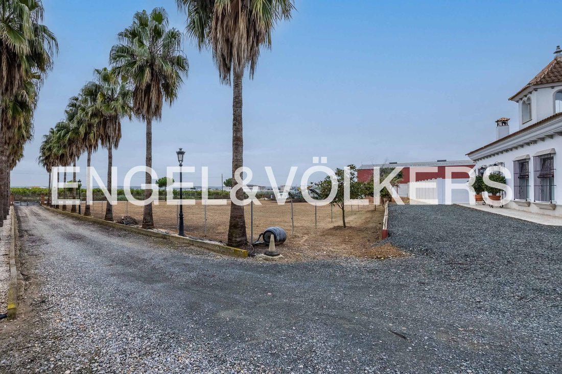 Land in Lora del Rio, Andalusia, Spain 2 - 15212947