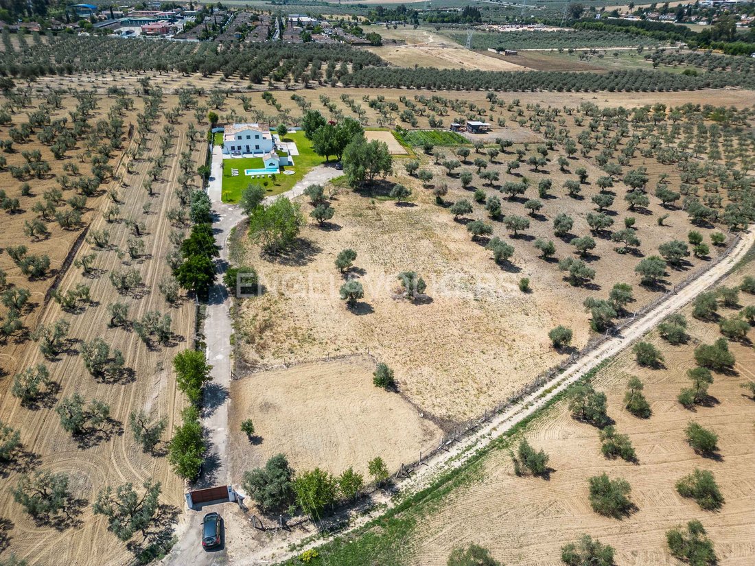 Finca en Espartinas, Andalucía, España 5 - 13144919