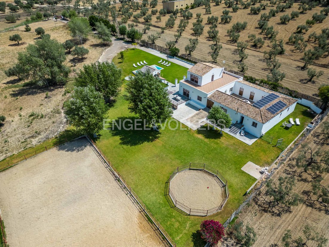 Finca en Espartinas, Andalucía, España 3 - 13144919