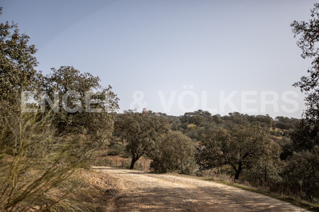 Finca in Guadalcanal, Andalusia, Spain 2 - 13144851