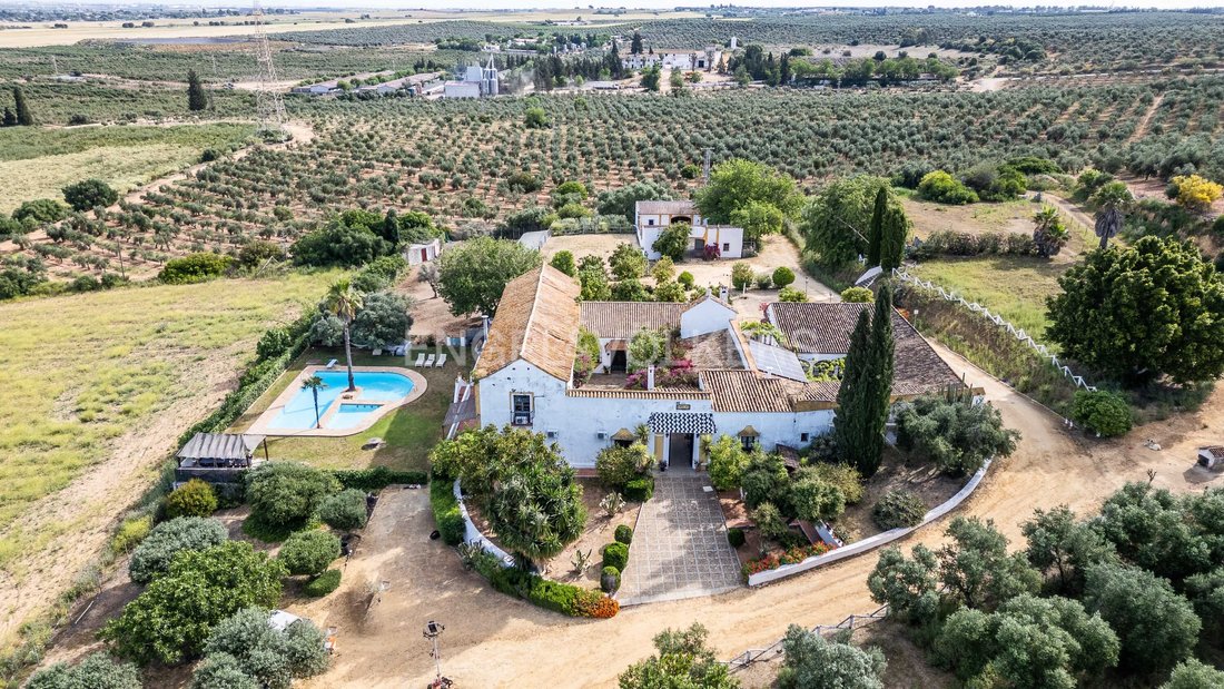 Finca in Alcala de Guadaira, Andalusia, Spain 1 - 14180600