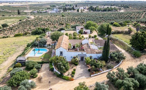 Finca in Alcala de Guadaira, Andalusia, Spain 1