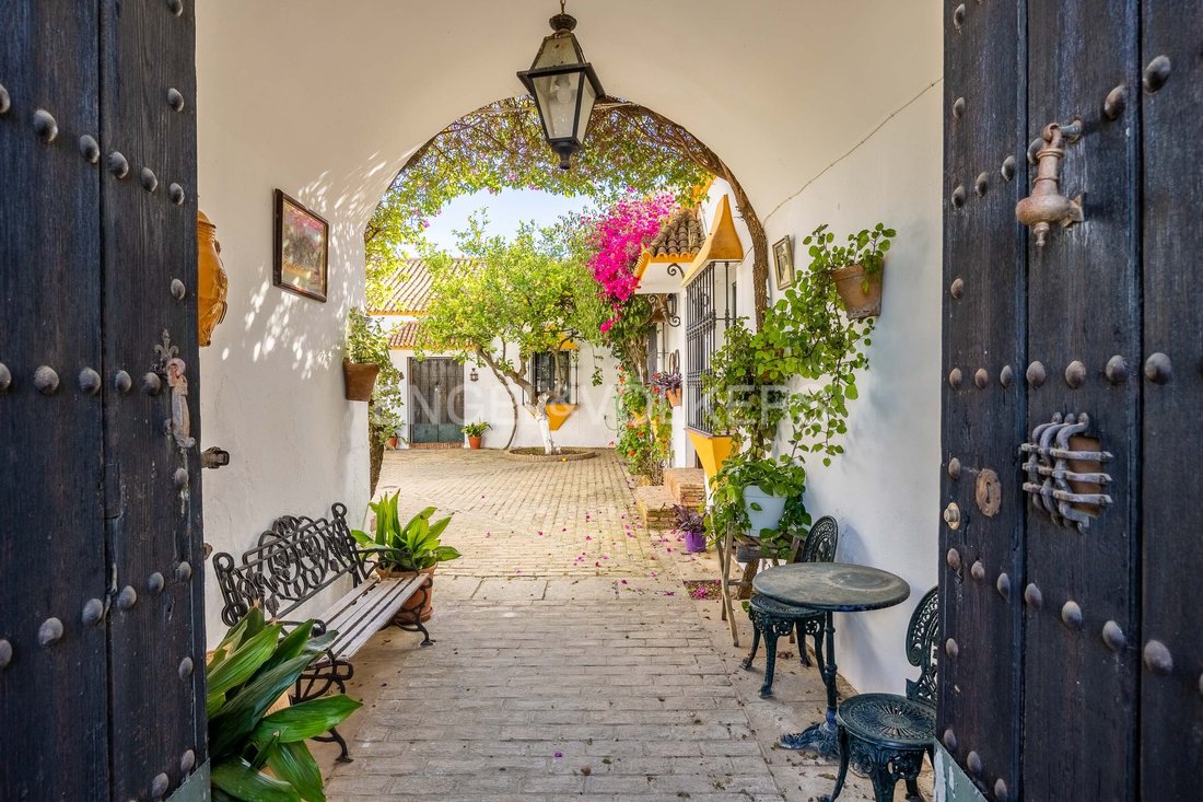 Finca in Alcala de Guadaira, Andalusia, Spain 4 - 14180600