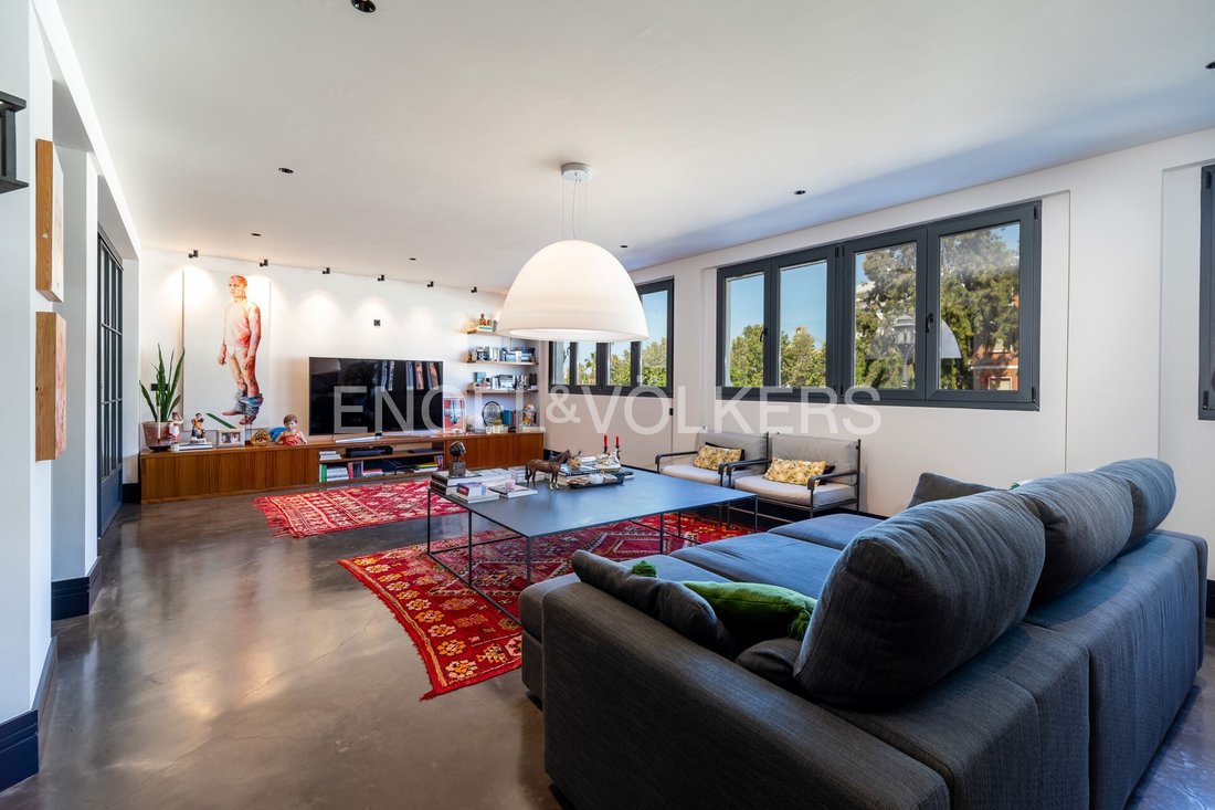 Cadiz, Andalusia, Spain 1 - 14442392