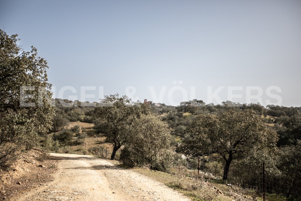 Finca in Guadalcanal, Andalusia, Spain 4 - 13144851