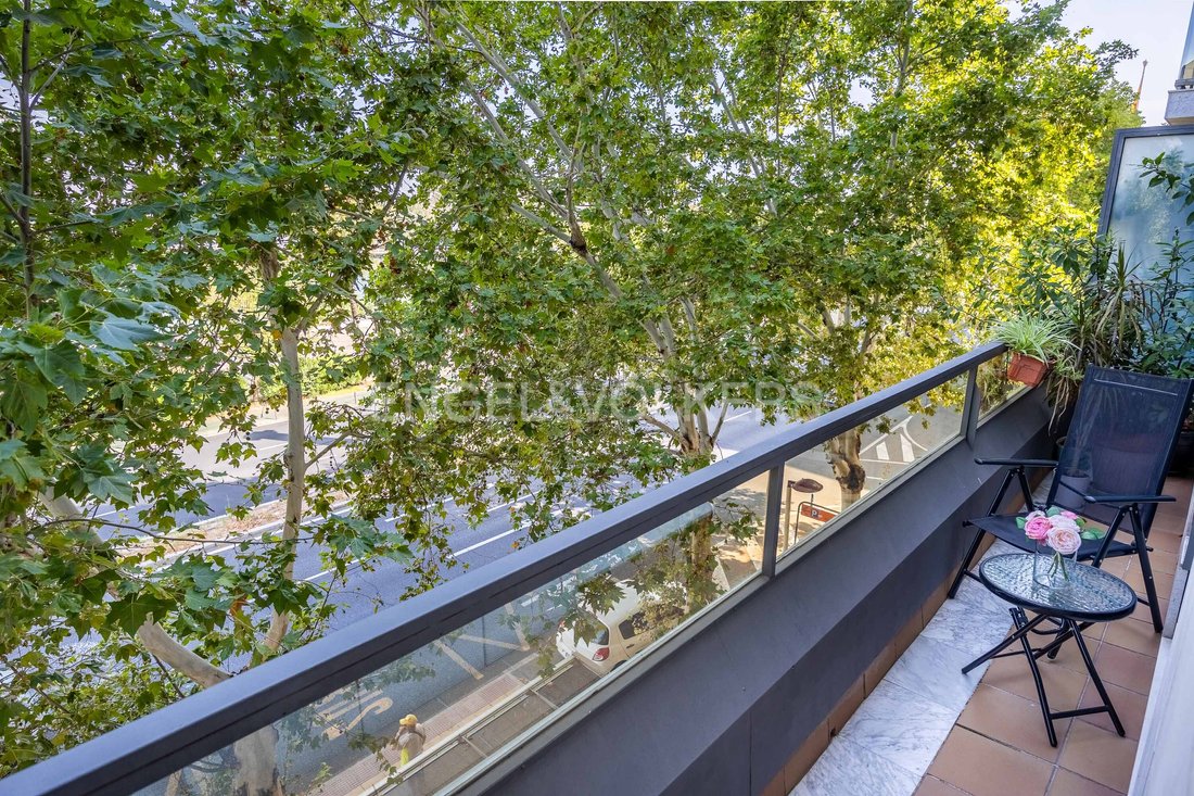 Apartment in Distrito Macarena, Seville, Spain 4 - 14381217