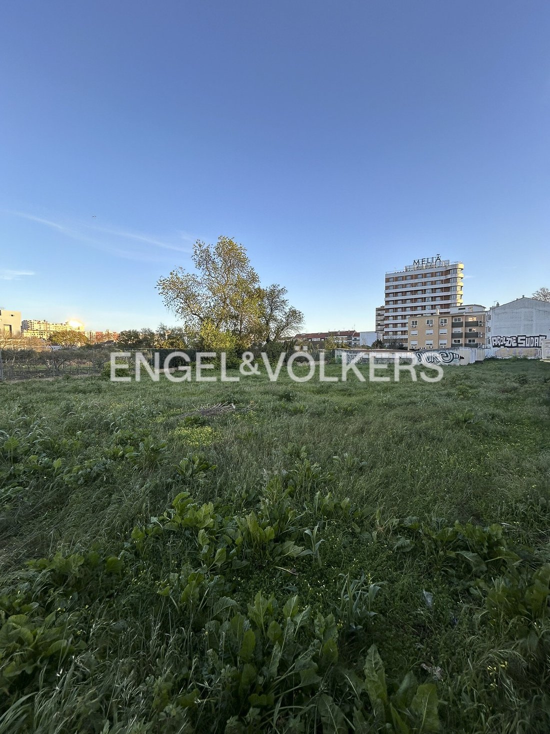 Land in Setubal, Setubal, Portugal 5 - 14809442