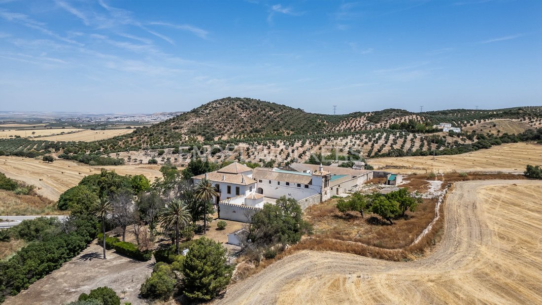 Osuna, Andalusia, Spain 1 - 14372424